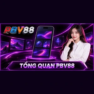 TỔNG QUAN PBV88